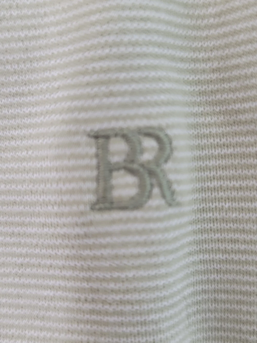 Banana Republic Light Sage Men's Polo - Luxe Touch